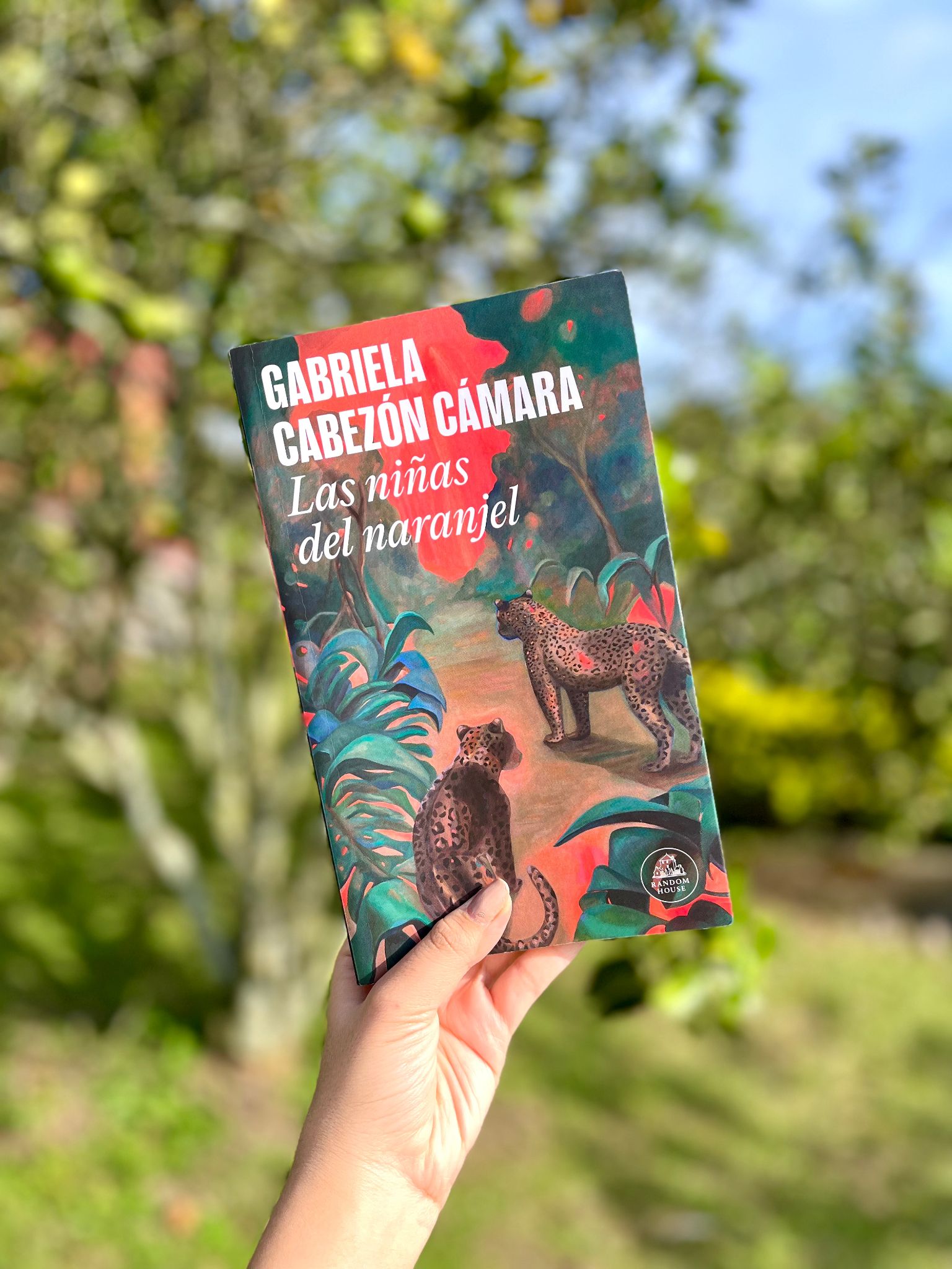 Una promesa en la conquista española - Reseña de la novela "Las niñas del naranjel" - Revista Enredarte